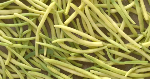 Freshly harvested yellow string beans texture background. Stock Footage 280104881