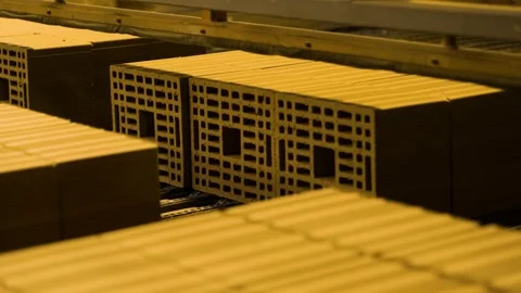 Freshly-made Bricks Moving on an Automated Factory Line Stock Footage 308451992