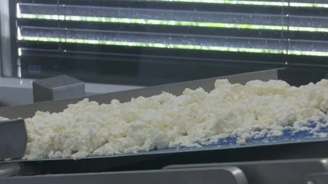 Freshly made cheese curds piled on a conveyor belt in a food production facility Видео 337060763
