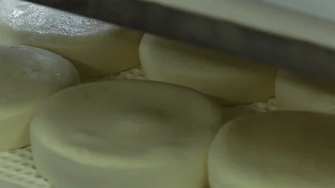 Freshly made wheels of cheese Stock Footage 76935689