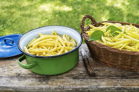 Freshly picked and cooked String bean Stock Photos