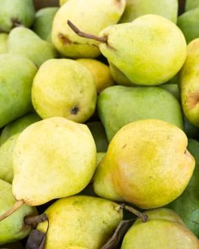 Freshly picked bartlett pears Stock Photos