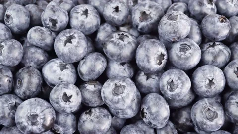 Freshly Picked Blueberries Fruit Background. Stock Footage 157628252