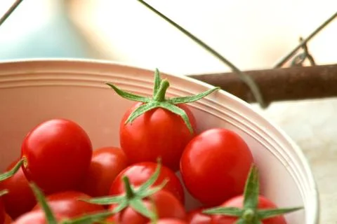 Freshly picked cherry tomatoes Stock Photos