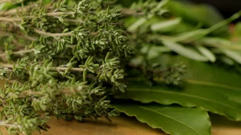 Freshly picked herbs 스톡 동영상 12728987