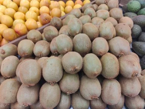 Freshly picked kiwis Stock Photos