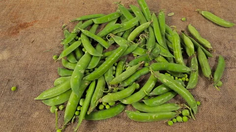 Freshly picked peas. background of old sacking Stock Footage 61215159