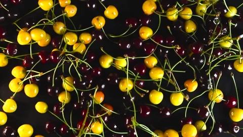 Freshly picked red and yellow cherries moving on a dark background Stock Footage 340142992