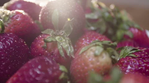 Freshly picked strawberries on a rotating display Stock Footage 62909137