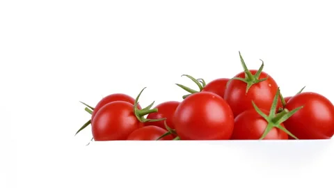 Freshly Picked Tomatoes. Stock Footage 149176420