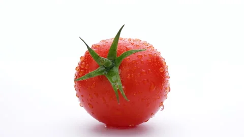 Freshly Picked Tomatoes. Stock Footage 149177423