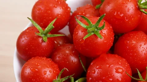 Freshly Picked Tomatoes. Video stock 149543486