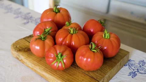 Freshly picked tomatoes organic Stock Footage 282696043
