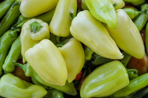 Freshly picked vegetables. Different types of peppers, tomatoes and more. Org Foto stock