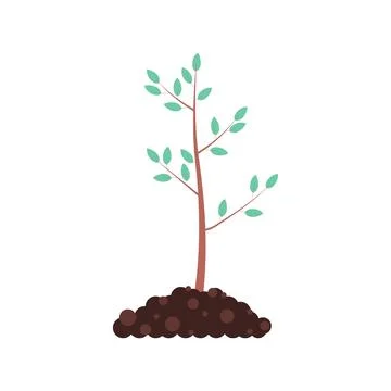 A freshly planted tree. The concept of forest conservation Stock Illustration