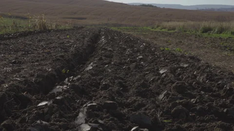 A freshly plowed field Stock Footage 268837550