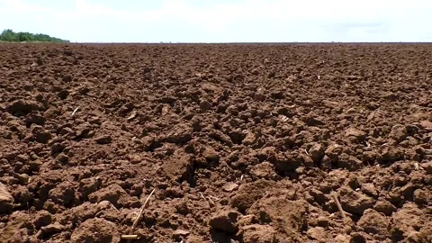 Freshly plowed field in spring ready for cultivation Stock Footage 310052618
