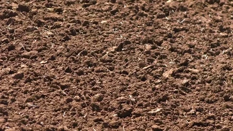 Freshly plowed field in spring ready for cultivation Stock Footage 321241266