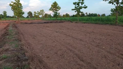 Freshly Plowed Rice Field Ready for Planting Season Video stock 336301348