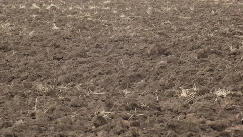 Freshly plowed soil field under light rain, agricultural land texture and Stock Footage 345572127