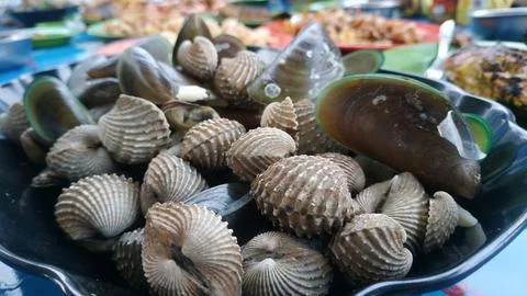 Freshly Prepared Shellfish Platter Close-Up Stock Photos