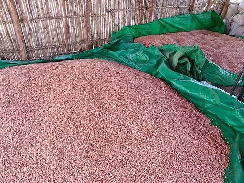 Freshly processed raw peanuts, stacked and ready for sale Stock Photos