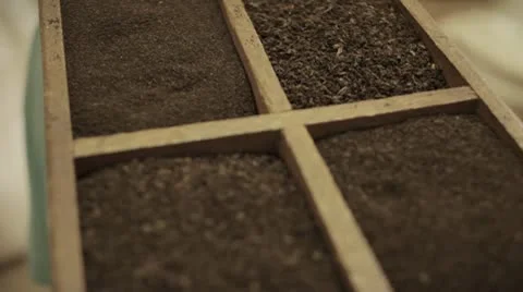 Freshly processed tea leaves 스톡 동영상 10747073