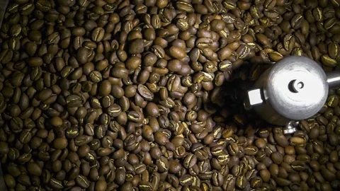 Freshly roasted coffee beans being emptied from cooling tray with mixer Stock Footage 69870477