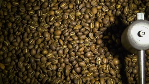 Freshly roasted coffee beans being mixed in cooling tray Stock Footage 69912905