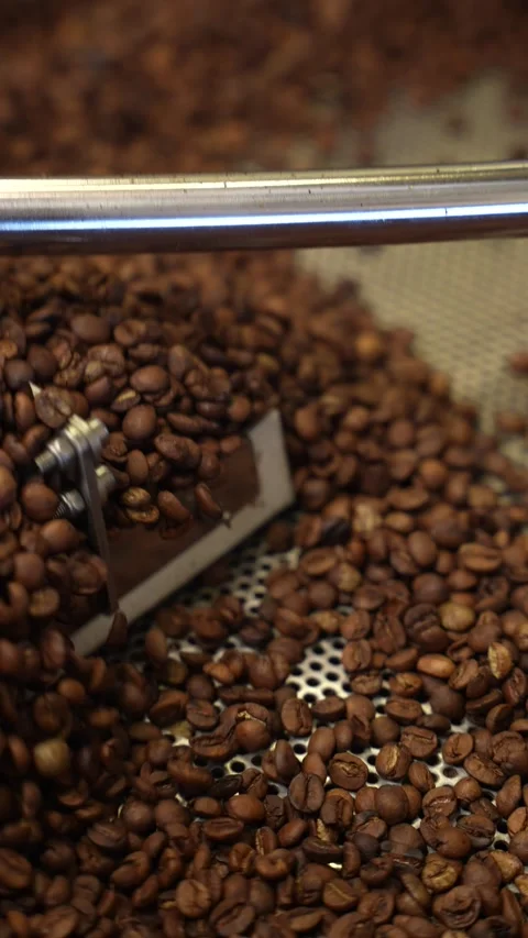 Freshly roasted coffee beans being poured and gently stirred Stock Footage 310042865