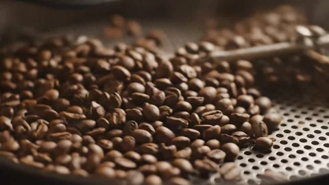 Freshly Roasted Coffee Beans Cooling in a Roaster Stock Footage 314805458