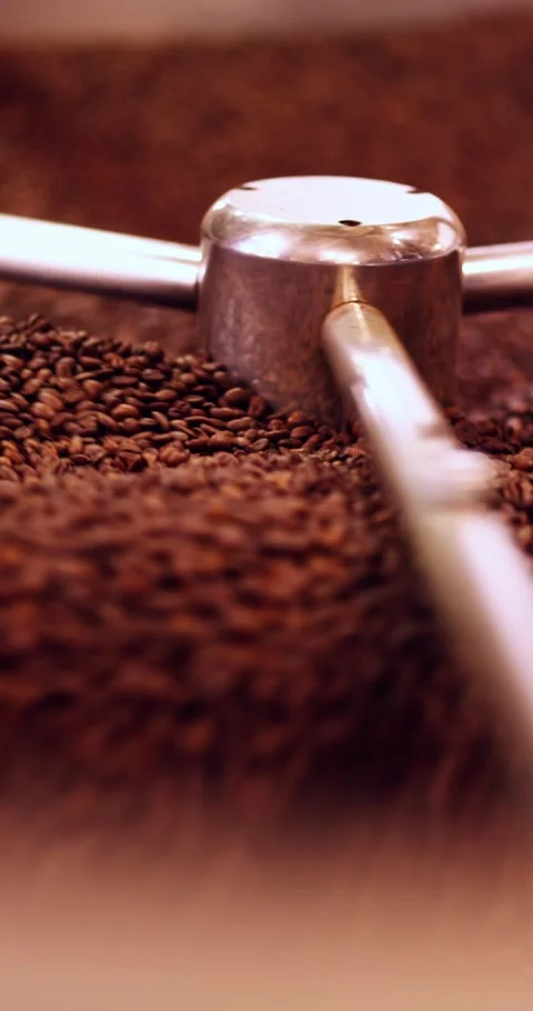 Freshly Roasted Coffee Beans Cooling In Drum Roaster Stockbeeldmateriaal 331045408