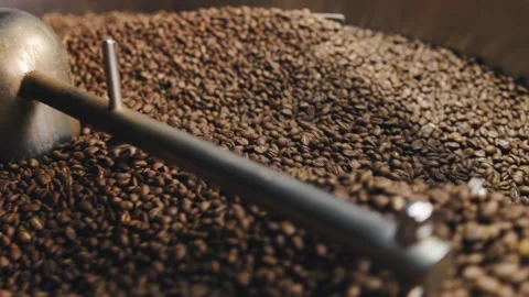 Freshly roasted coffee beans displayed in a large metal container at a local Stock Footage 321712470