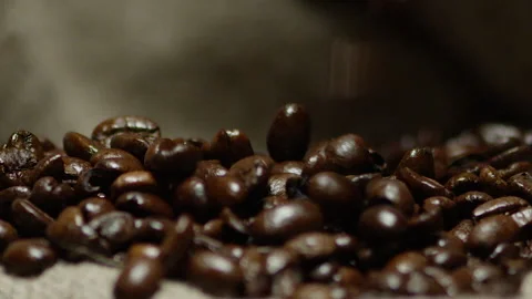 Freshly Roasted coffee beans drop Stock Footage 142071577