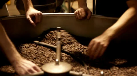 Freshly roasted Coffee beans - Examining Stock Footage