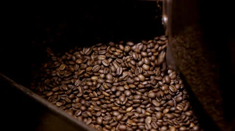 Freshly roasted coffee beans - exiting chute Stock Footage 26319198