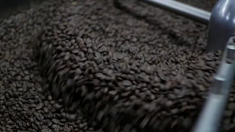 Freshly roasted coffee beans falling into a spinning cooler Stock Footage 81062226