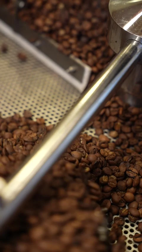 Freshly roasted coffee beans Stock Footage 310050932