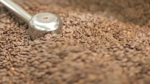 The freshly roasted coffee beans from a large coffee roaster Stock-Footage 43482636