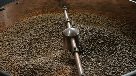 The freshly roasted coffee beans from a large old coffee roaster being stirred Stock Footage 96039246