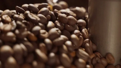 Freshly roasted coffee beans from a large coffee roaster. Roasting coffee beans Stock Footage 116434625