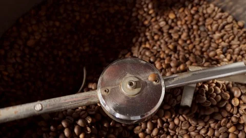 Freshly roasted coffee beans from a large coffee roaster. Roasting coffee beans Stock Footage 122120408
