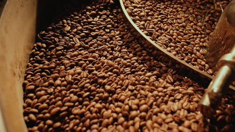 Freshly roasted coffee beans mixing around on a cooling plate of an oven Stock Footage 258192483