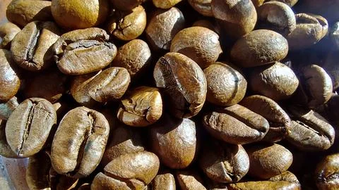 Freshly roasted coffee beans ready for brewing in a cozy coffee shop Stock Photos