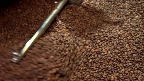 Freshly roasted coffee beans in a roaster, close up, sliding Vídeos de archivo 170697551