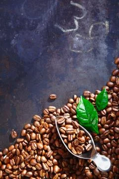 Freshly roasted coffee beans on slate Stock Photos