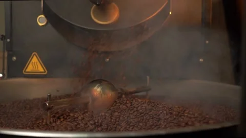 Freshly roasted hot coffee beans falling down from roasting machine on cooling Stock Footage 234631277