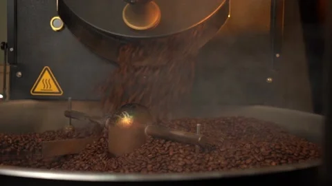 Freshly roasted hot coffee beans falling down to cooling from roasting machine Stock Footage 234633598