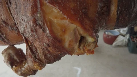 Freshly Roasted Piglets On A Spit 4k Stock Footage 114663404