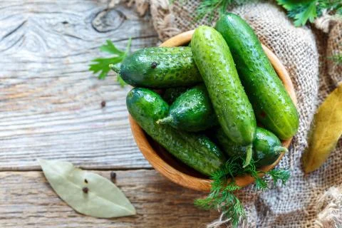 Freshly salted cucumbers with spices. Stock Photos